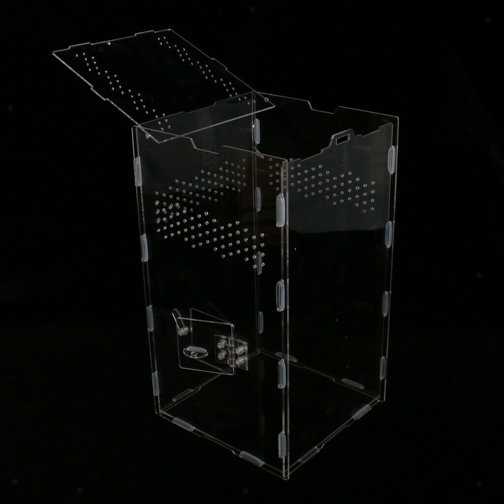 Ventilation & Clear Amphibian Spider Gecko Chameleon Feed DIY Box