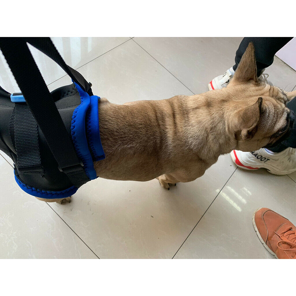 Carrying Harness For Dog Walking With 2 Pieces For Disabled Dog Injured