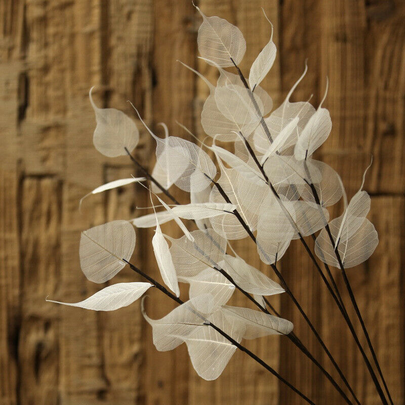 55cm Natural white Bodhi leaf vein Branch dried Flower wedding flower P1 TwJ.DD