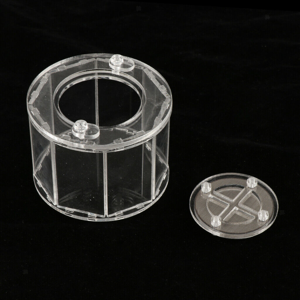 Spider Insect Reptile Tank Vivarium Cage Box Clear Acrylic Terrarium Clear
