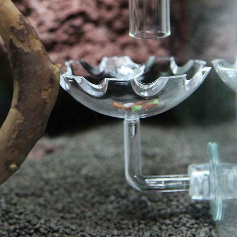 Shrimp Feeder Bowl Easy Fixed Clear Color Fish Feeding Dish with Durable Glass