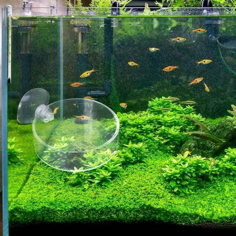 New Arrival Fish Tank Feeder Aquarium Shrimp Glass Feeding Bowl Clear Dish Tray