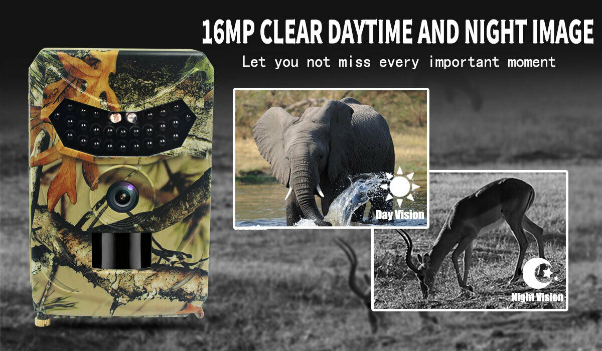 IP56 Camera 16MP 1080P Hunting Camera  for Wildlife Scouting Digital