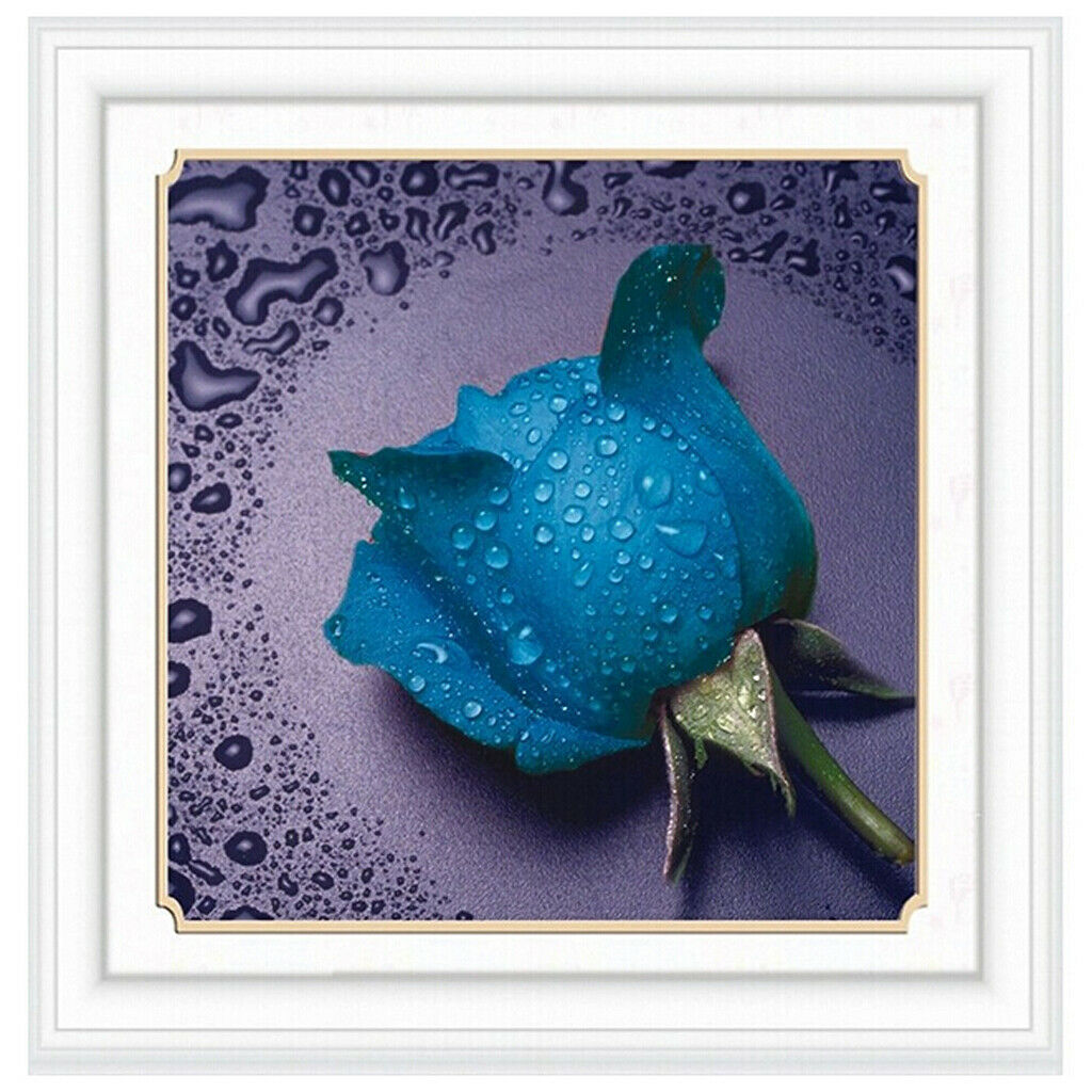 5D Diamond Painting Embroider Cross Stitch Craft DIY  Drop Blue #12