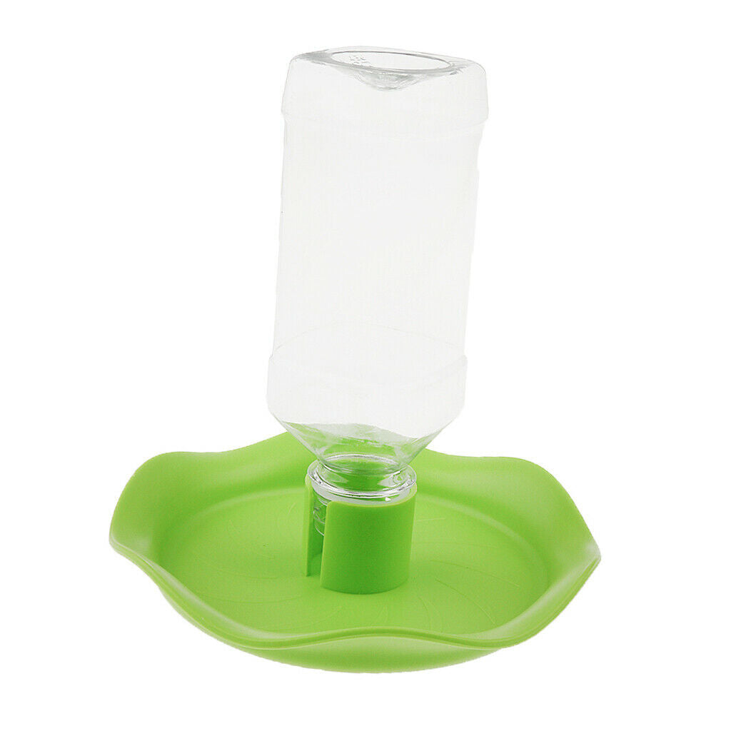 Automatic Water Bowl Container For Reptile Tortoise Spiders Lizard Green
