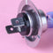 2pcs H7 4300K HID Xenon Halogen Headlight White Light Bulb Globe 12V 55W