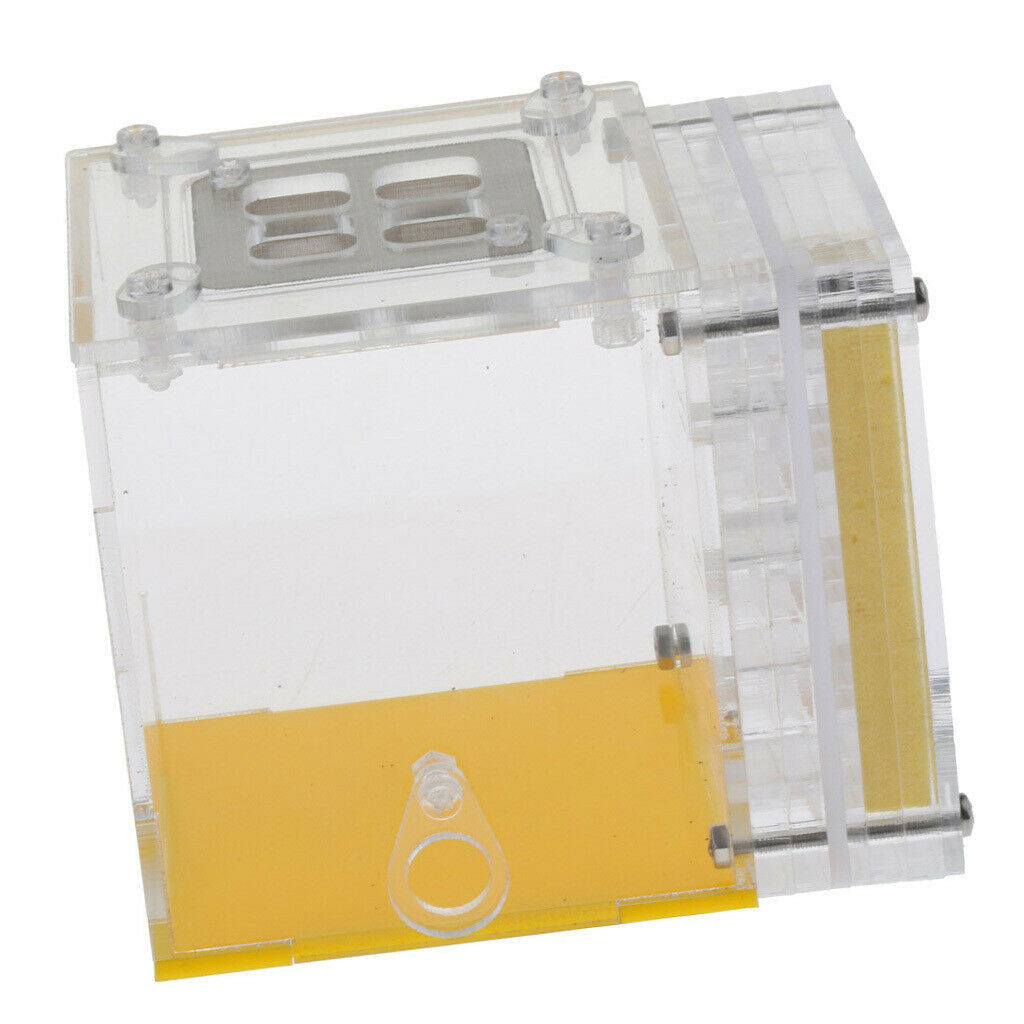 Square Ant Feeder Farm Water Erea For Insect Ant Nests Transparent 10x8x8.3cm