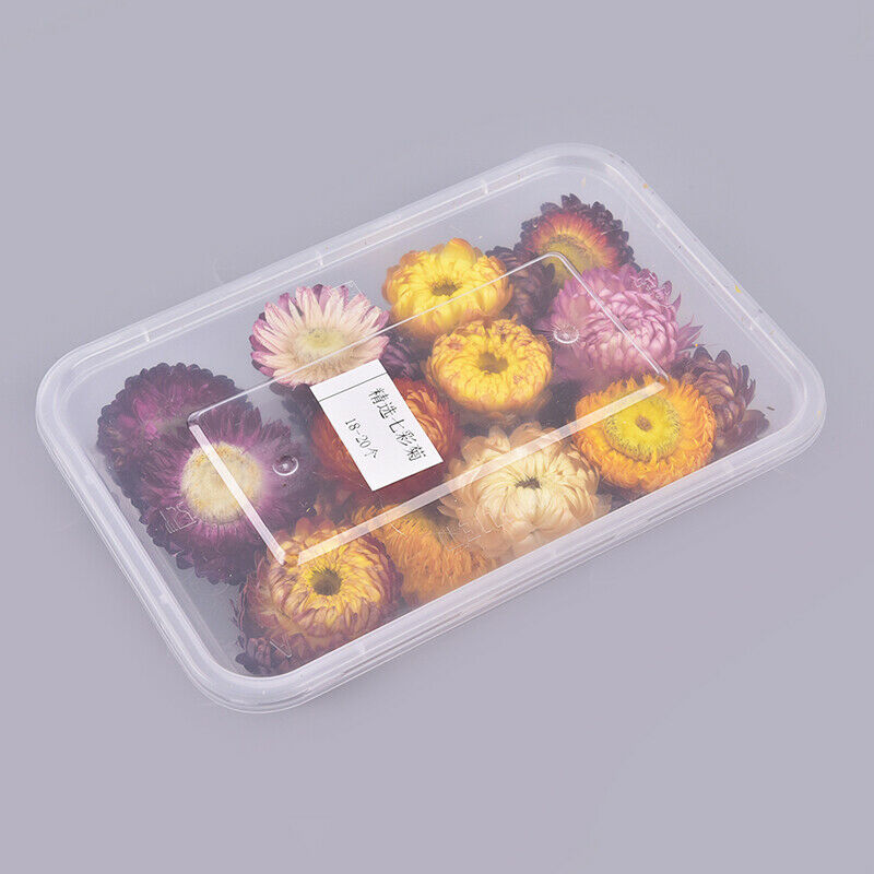 1Box Natural Colorful Chrysanthemum dried Flower heads Craft DIY Accessor.l8