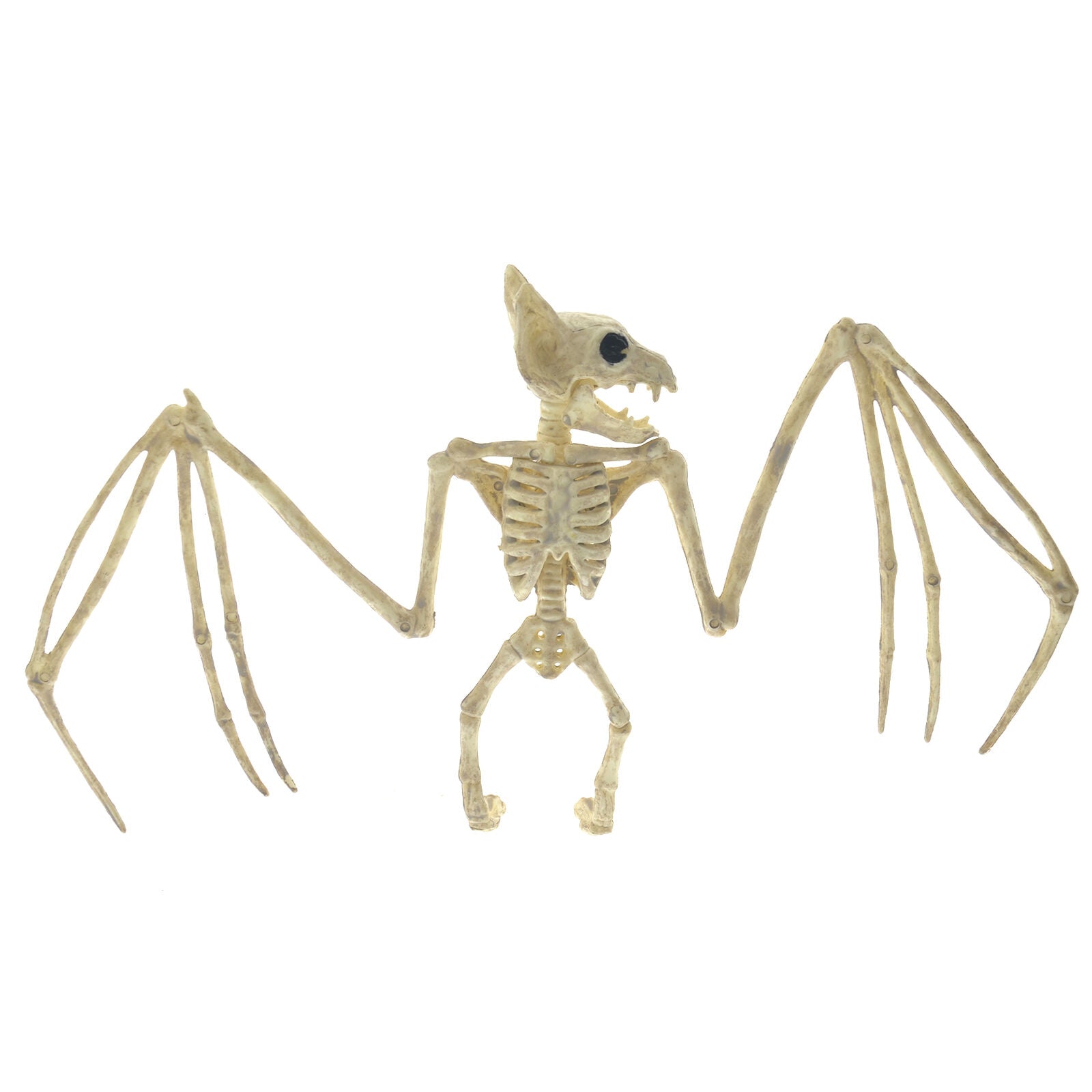 11.8" Creepy Skeleton Bat Bonez Halloween Scene Party Scary Decor Props AU GIFT