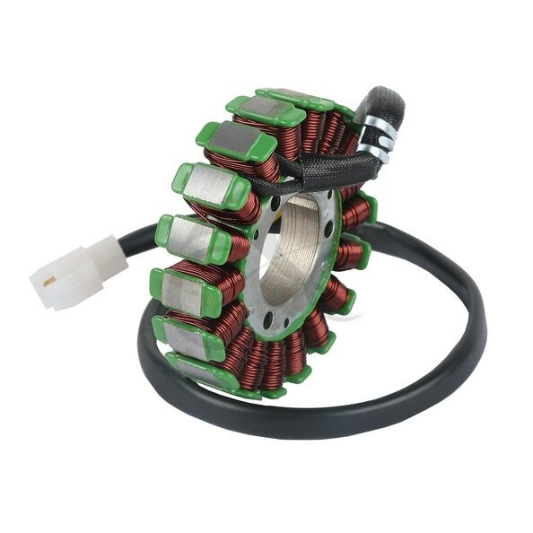 Magnetor 18P Stator Coil Fit For Regal Reptor DD300E-6 Johnny Pag Raptor 300 350