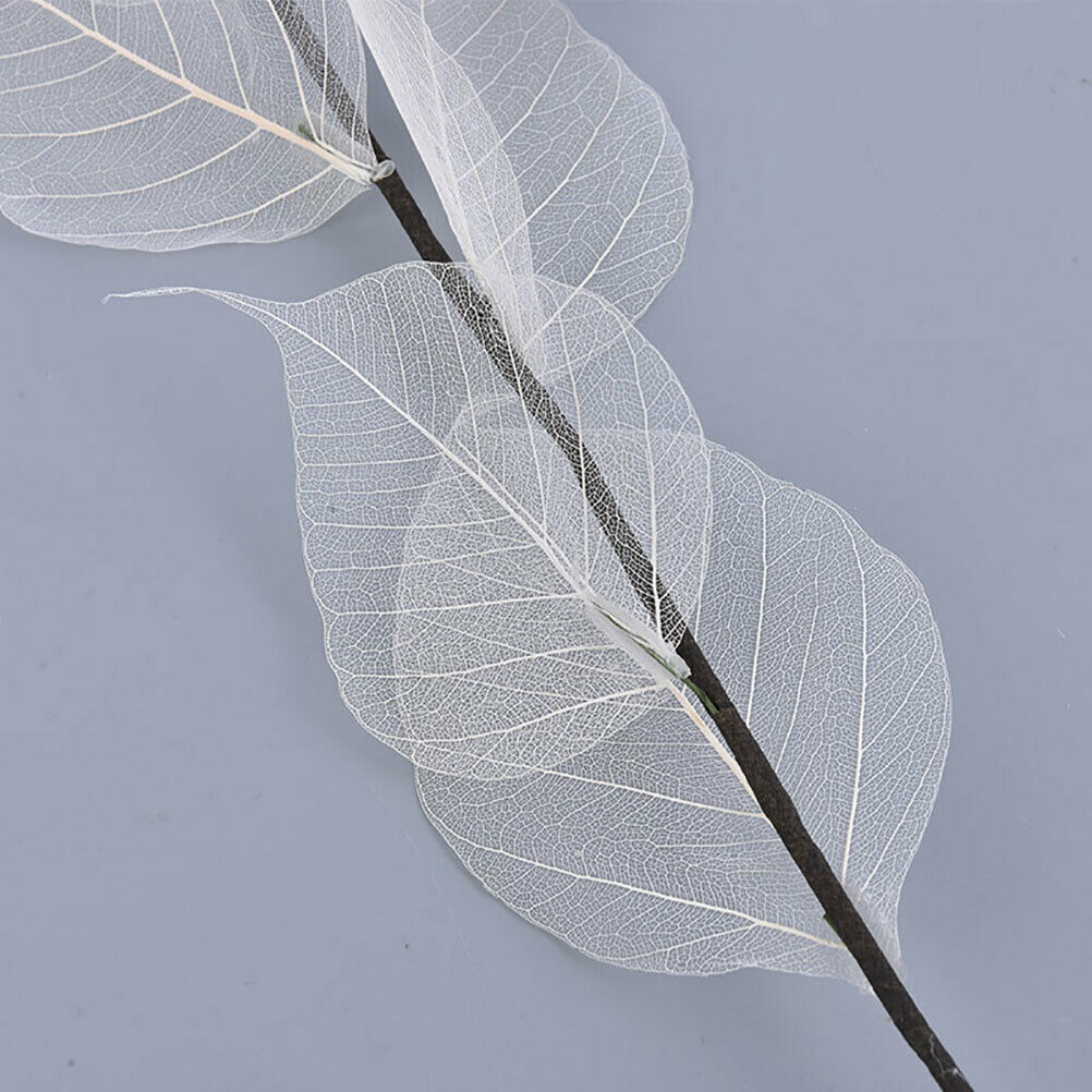 Natural white bodhi foliage and foliage Dried flowers for home decorati.l8