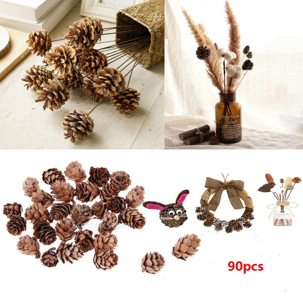 120pcs Natural Decorative Pine Cones Pinecone for Florists Crafts Decoration