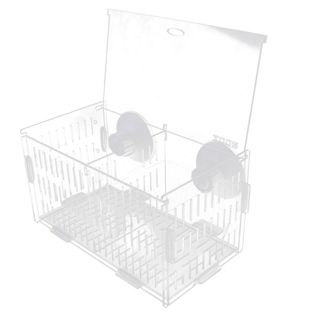 Aquarium Isolation Tank Young Fishes Rearing Box Tank with Suction Cup