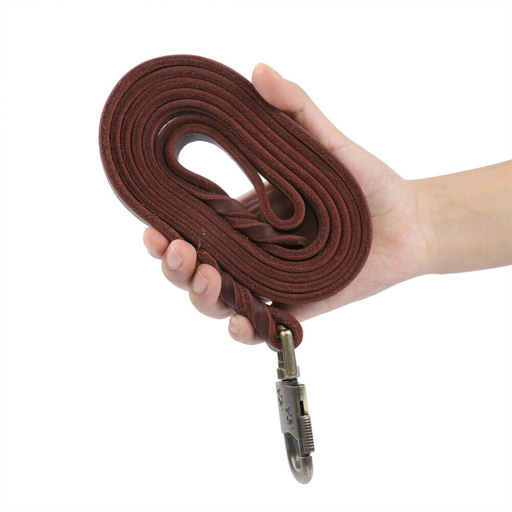 Durable Dog Training Leash Stylish Dog Strap for Medium Dogs for Large Dogs