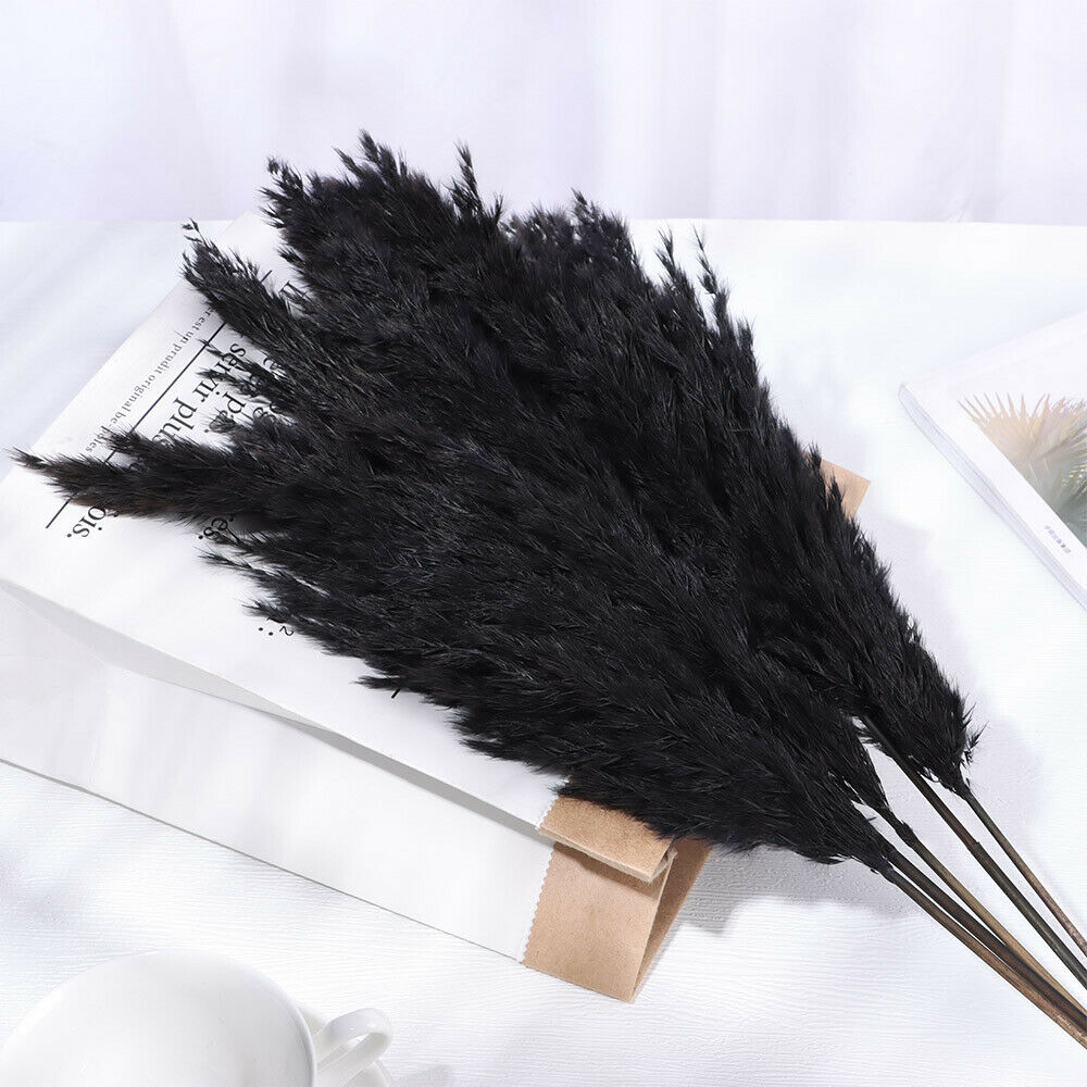 Material Pampas Grass Real Flower Reed Natural Dried Bouquets Plant Stems