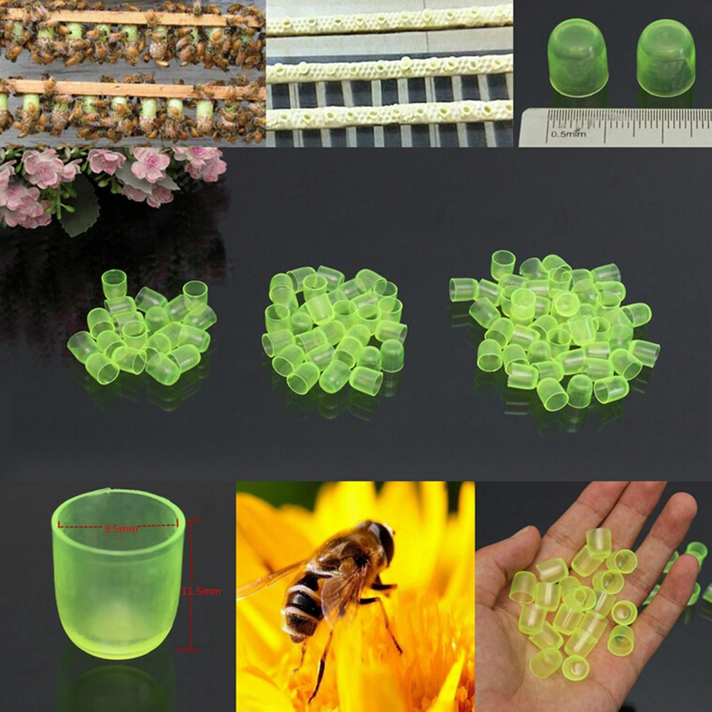 100PCS Beekeeping Cell Cups Royal Jelly Cups Set Queen Bee Rearing Equipment