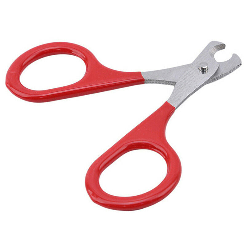Cat Nails Scissors Pet Cat Claw Care Tools Pet Supplies Accessories Pet To JYDF
