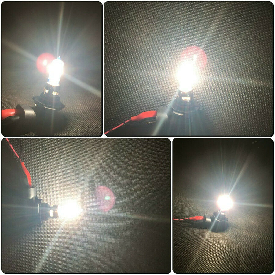 H7 55W Xenon Halogen Headlight Bulb Super White Lamp 1PCS Headlights Fog Light