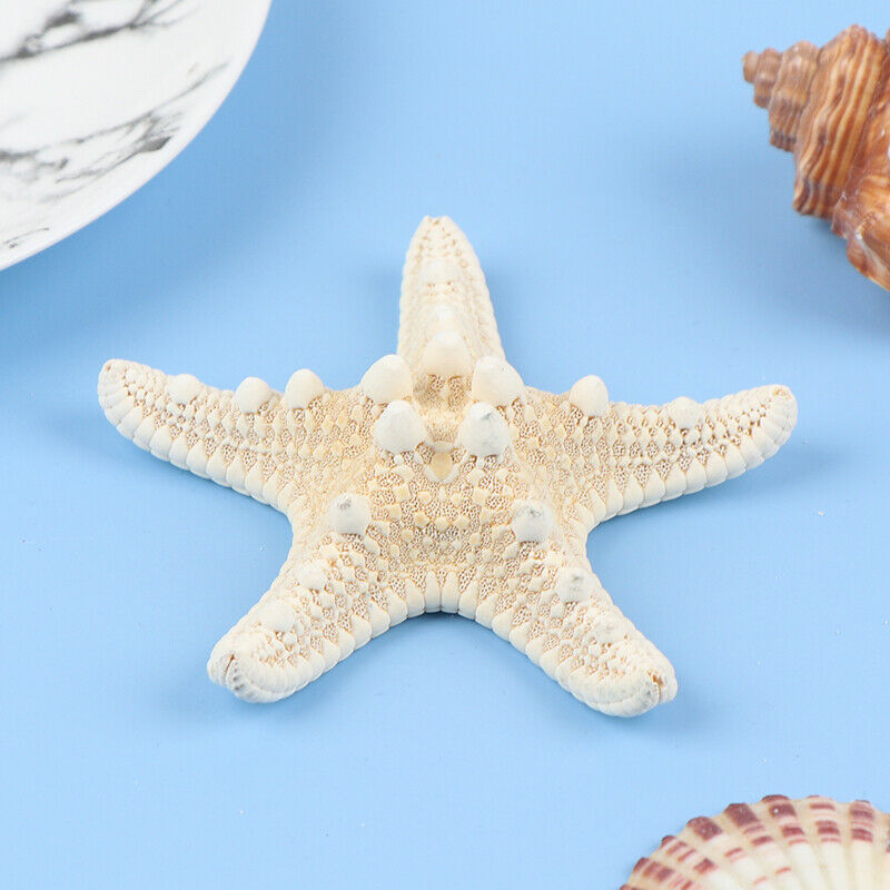 Starfish Crafts Decor Starfish DIY Shell Sea Fish Party Beige Starfish Decor Fx