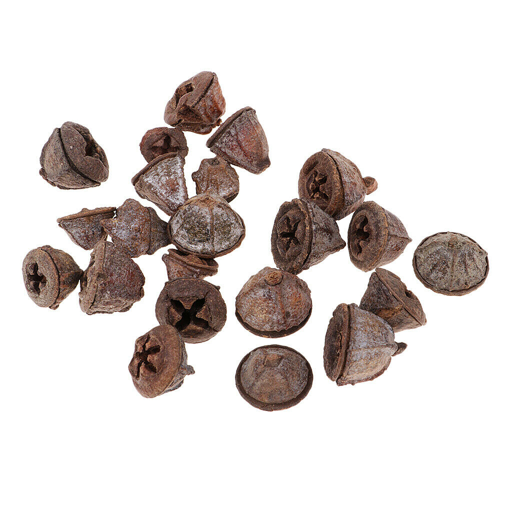 100x Natural Dried Flower Pine Cone Ornament Decorative Bowl
