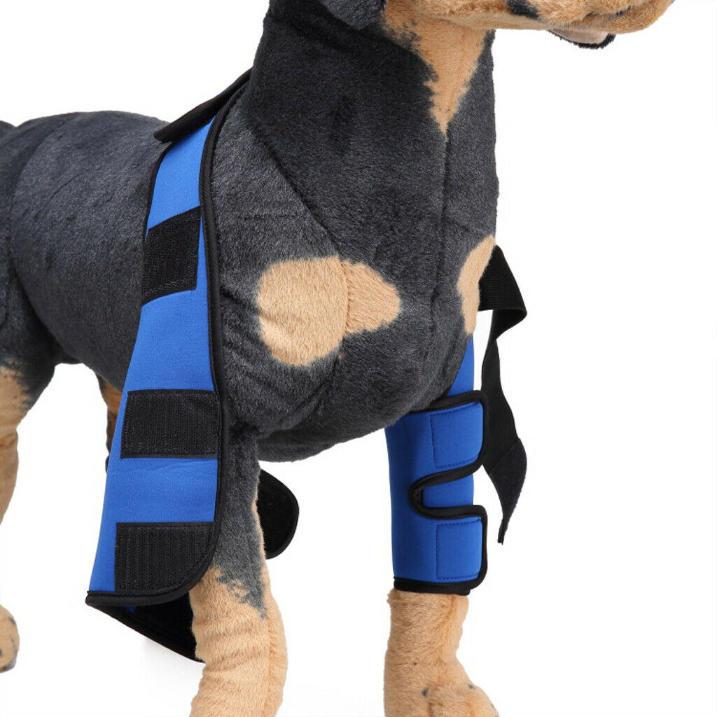 Dog knee joint support front leg compression strut protector blue - w