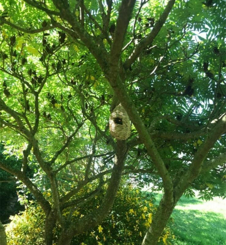 Birdhouse nest natural grass cage home yard decoration small