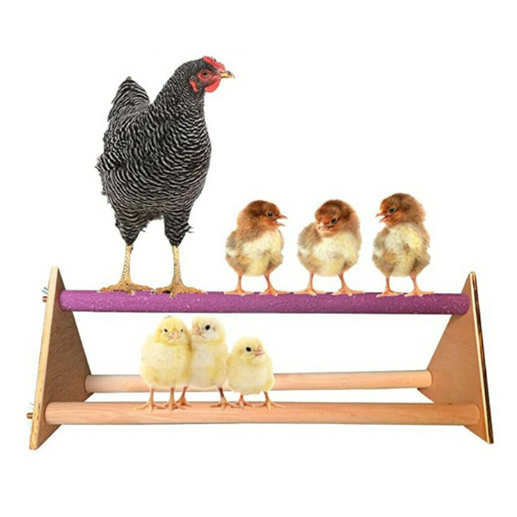 2pcs Parrots Chicken Perch Stand Funny for Chicken Hens Large Birds Canary
