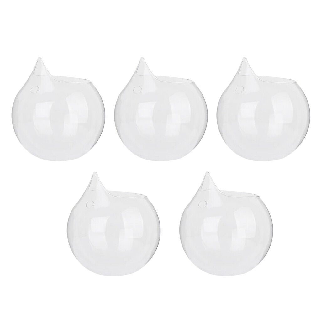 5 Pack Wall Hanging Vase Glass Flower Plant Terrarium Planters, Transparent