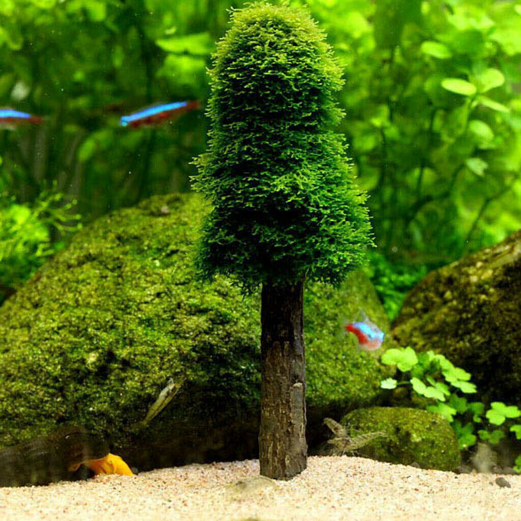Aquarium Simulation Moss Christmas Tree Trunk Plant Grow   Tank Decor
