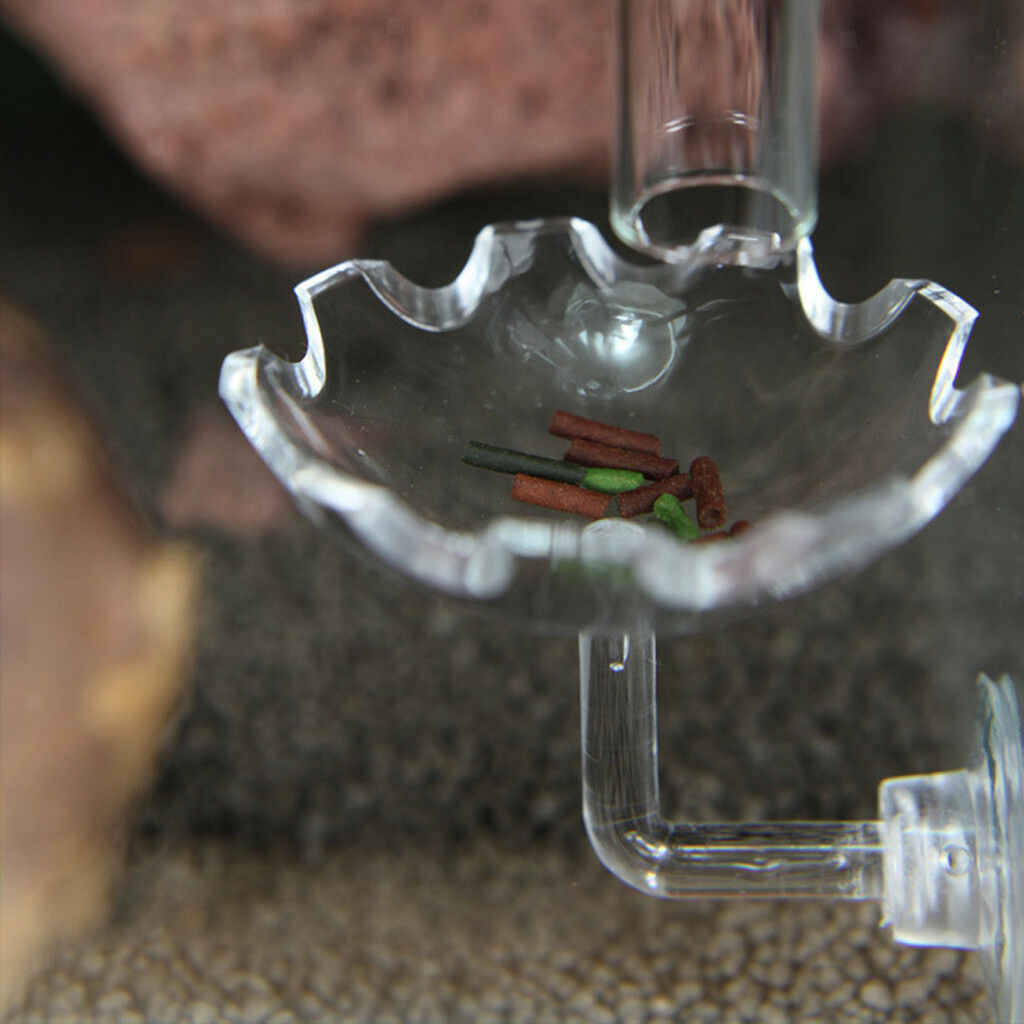 Aquatic   Tank Shrimp Feeding Bowl Feeder Tray Container for Shrimp Food