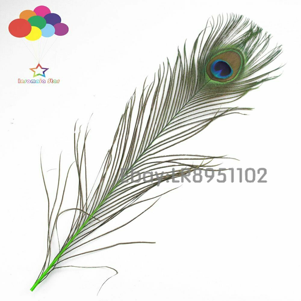 Fruit green crafts 40-45cm Peacock Eye Tail feathers DIY hair wedding party home