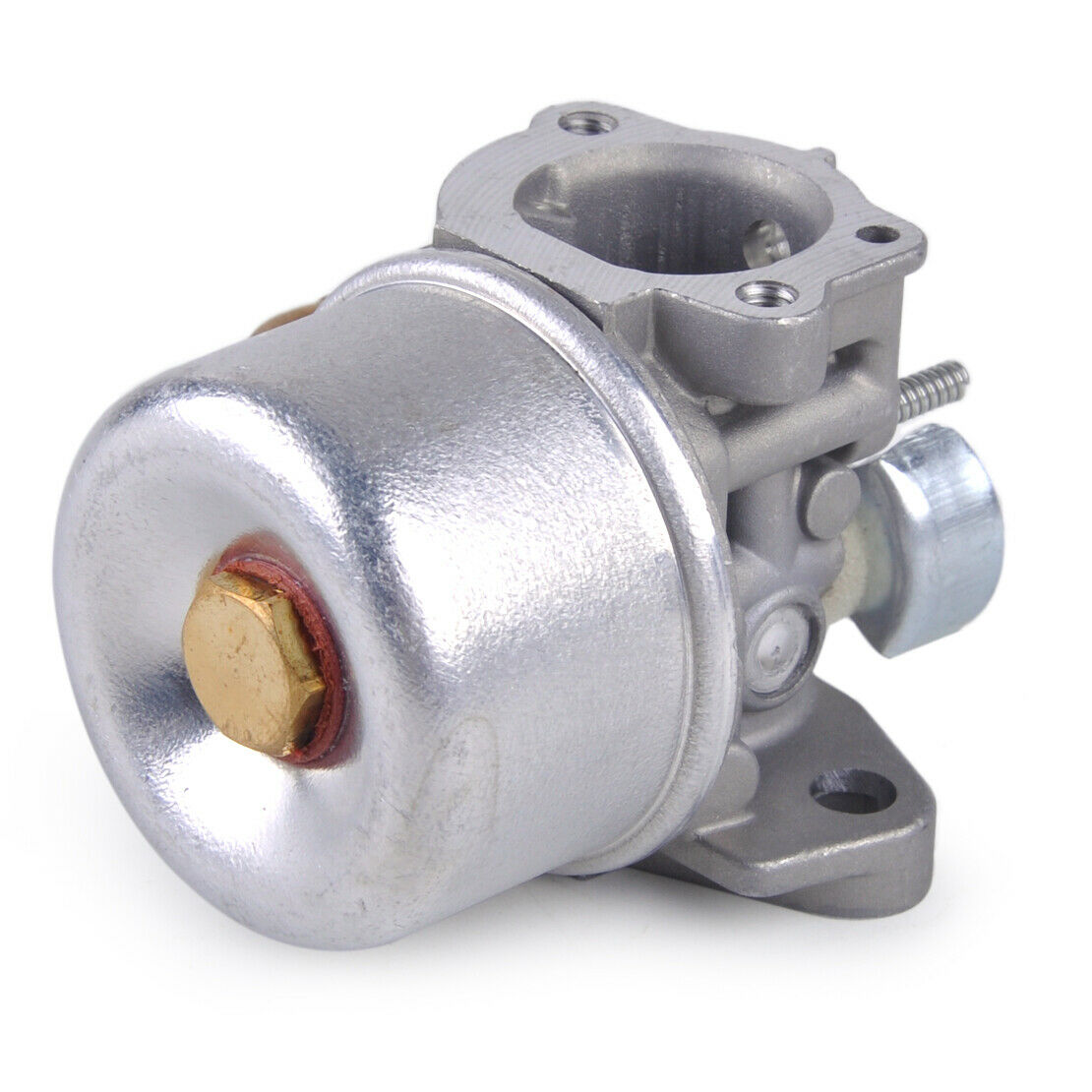 Carburetor Fit for Briggs & Stratton 791077 696981 698860 790182 694508 An