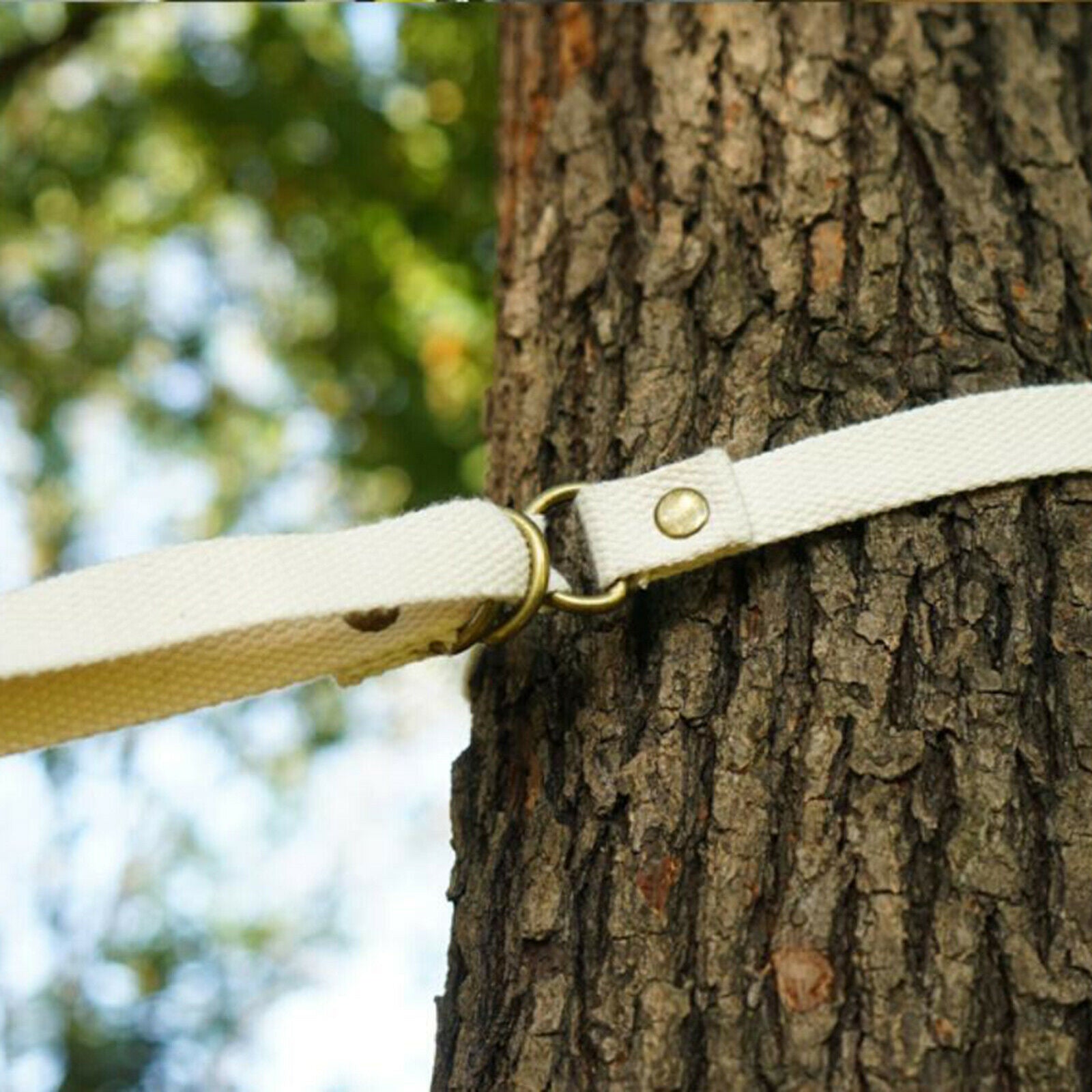 Tent Hang Lanyard Rope 5Meters Clothesline Hanger Strap Travel Hiking Tool