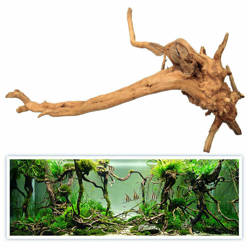 Aquarium Natural Tree Trunk Driftwood Fish Tank Plant Wood Decor OrnamentRNJ SJ