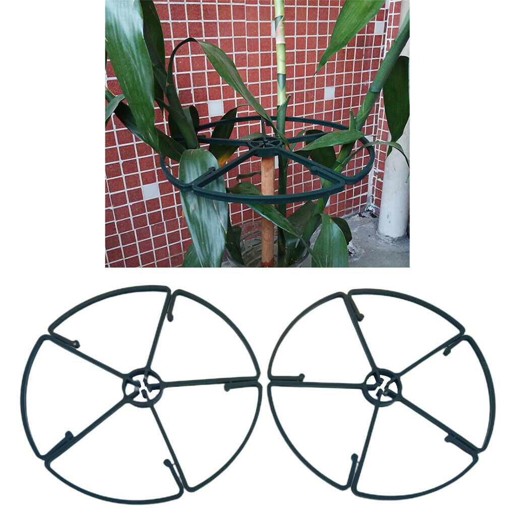2pcs Indoor Plant Support Ring Flower Plants Care Tools for Potted Plants