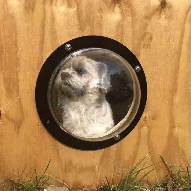 Dog Porthole Window Round Transparent for Fence Pet Peek Look Out Durable Dome