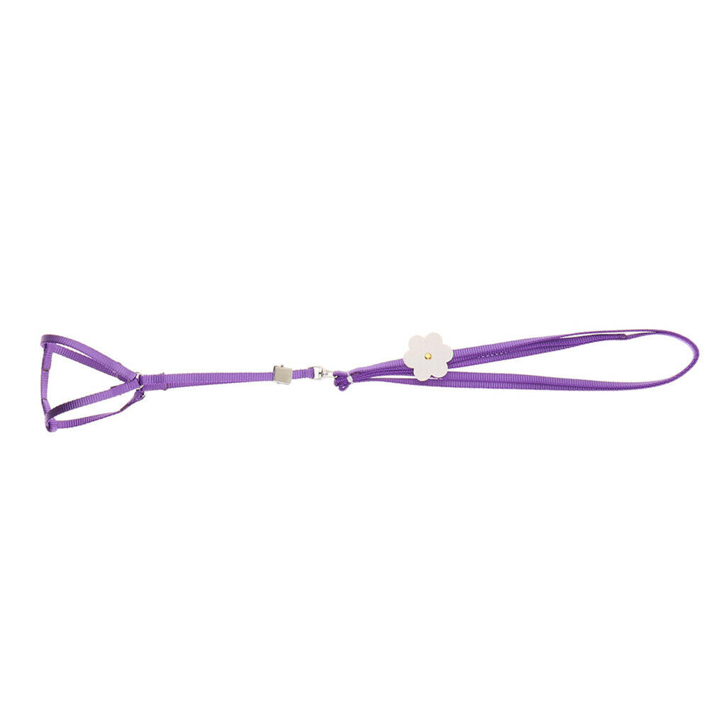 Outdoor Parrot Rope Pet Leash Adjustable Bird Harness S Purple