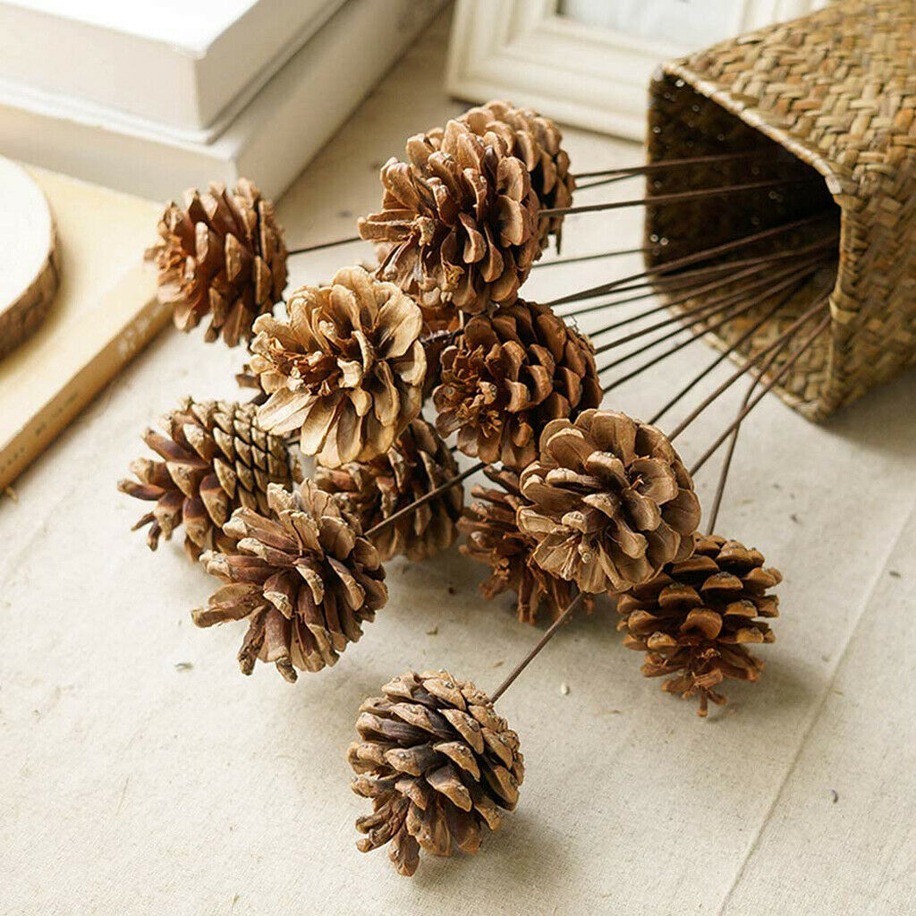 120pcs Natural Decorative Pine Cones Pinecone for Florists Crafts Decoration