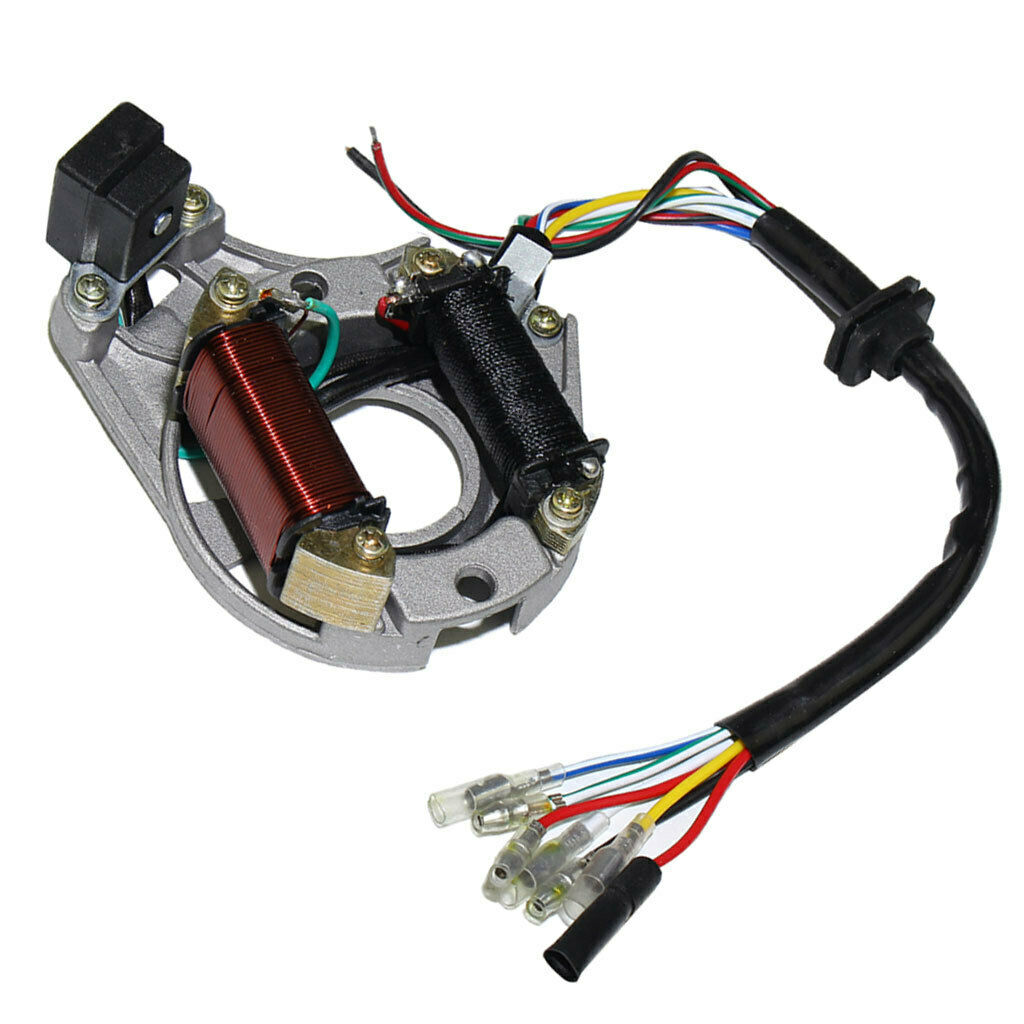 Motorcycle ATV Ignition Stator Coil Magneto 2 Pole for JiaLing JH70