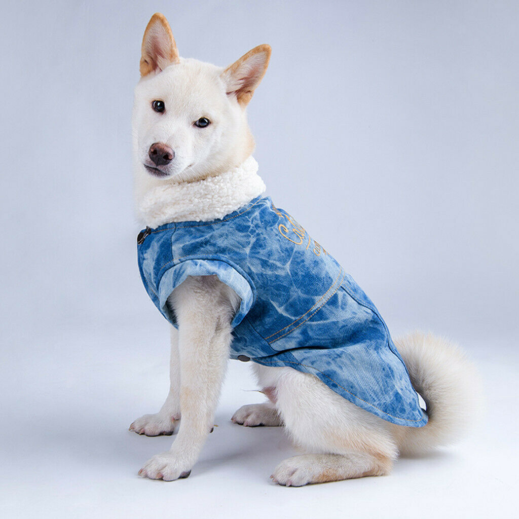 Puppy Winter Jacket Dogs Soft Jacket Apparel For Animals Puppies Blue-M