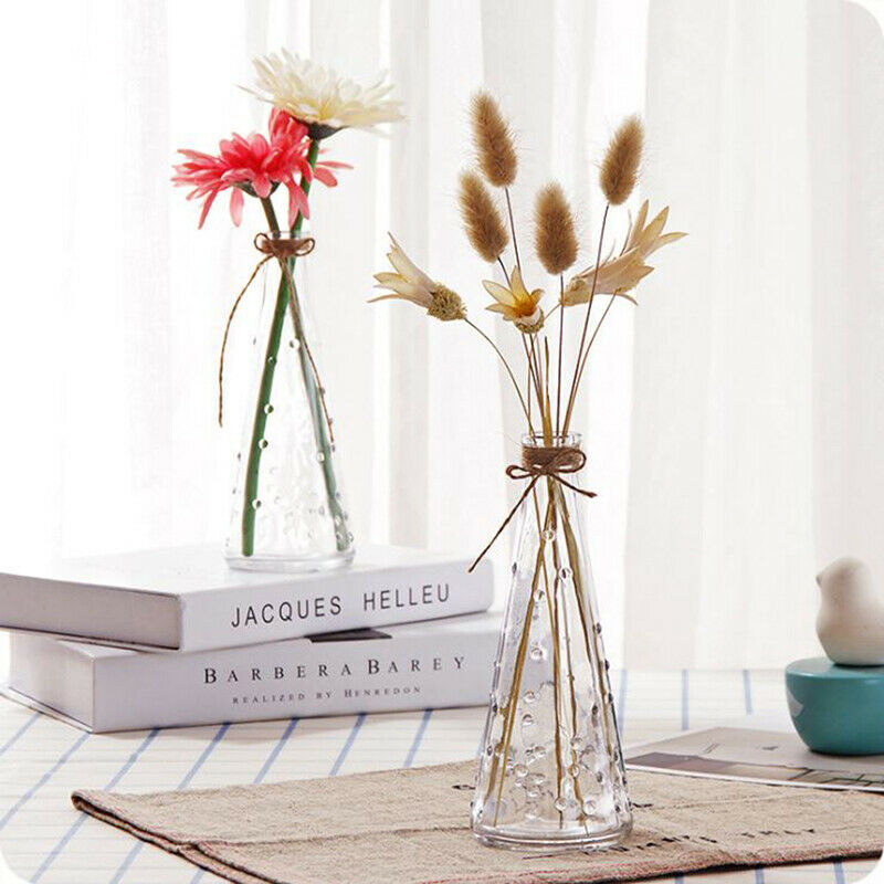 Raindrop Conical Glass Vase Decorate Home Nordic Dried Flower Hydroponic Bottle
