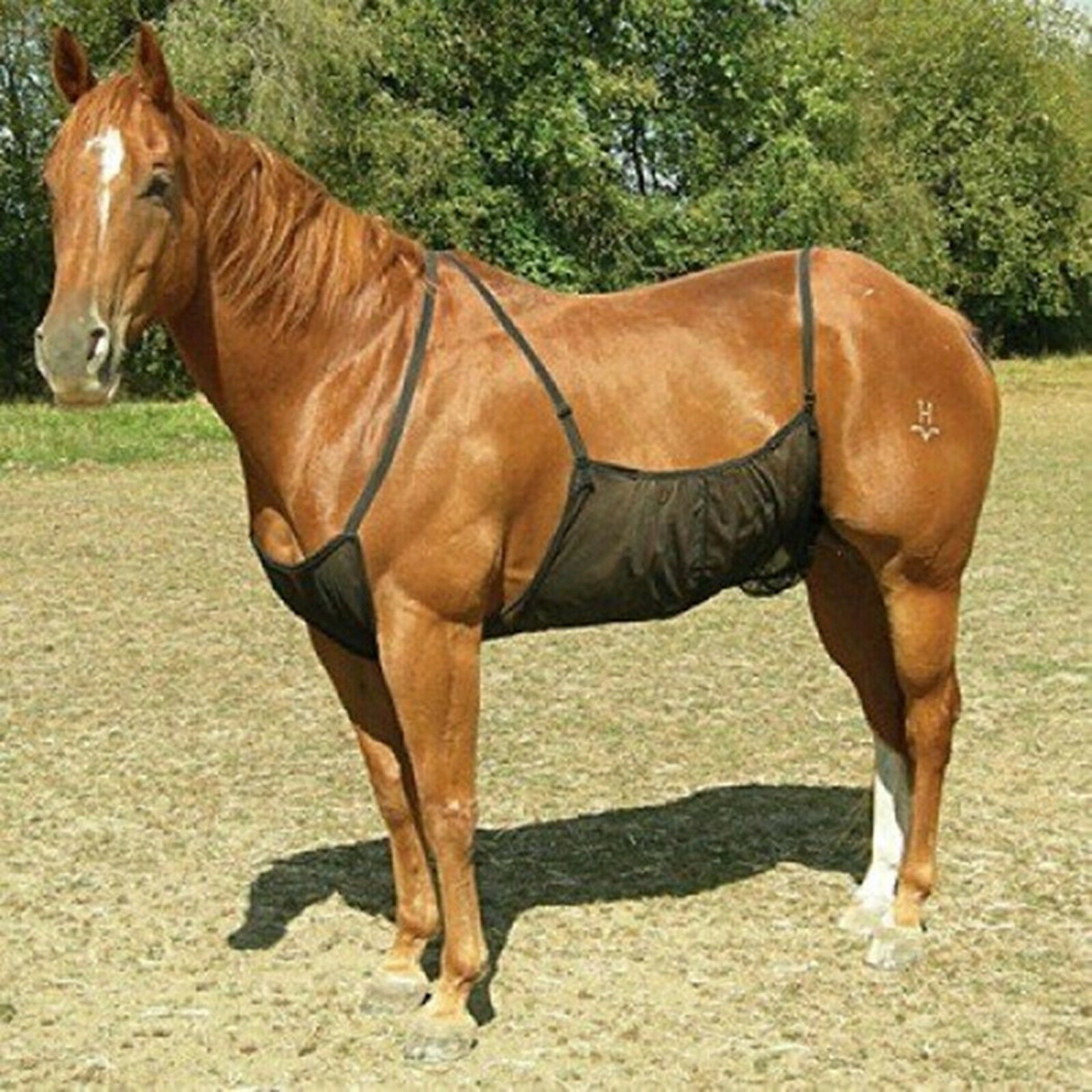 Horse Fly Sheet Protective Belly Guard Abdomen Net Comfortable Pony Blanket