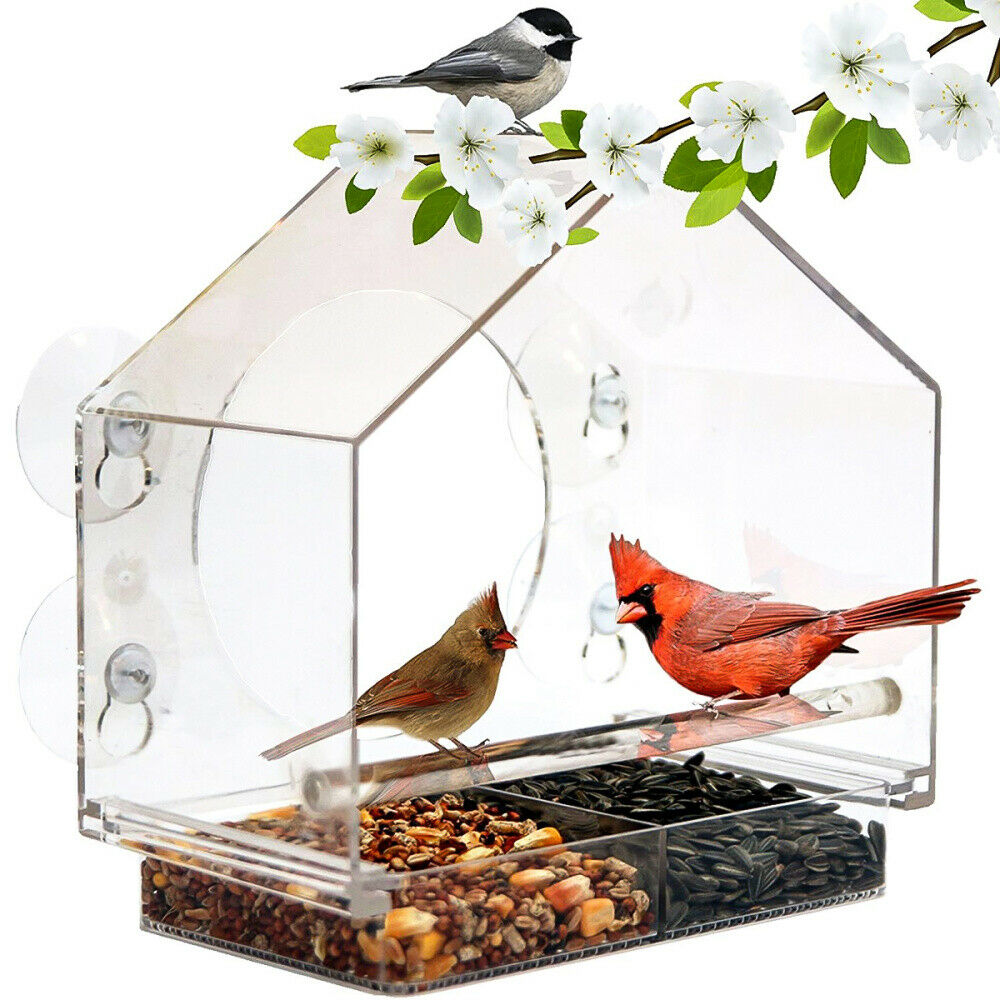 Acrylic Transparent Window Bird Feeder Large Weather Suction Cups Birds House