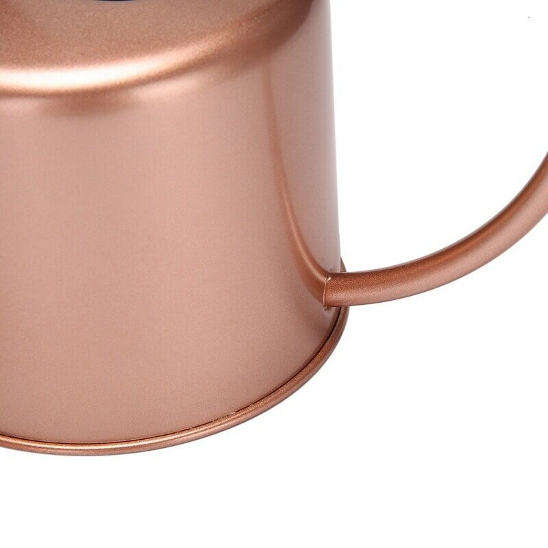 1300Ml Wate Can Metal Garden Stainless Steel for Home Flower Water Bottle EasyO9