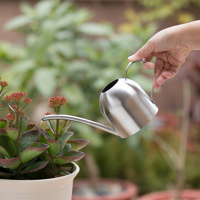 Indoor Outdoor Decorative Metal Watering Can 500ml Stainless Steel Garden Tool