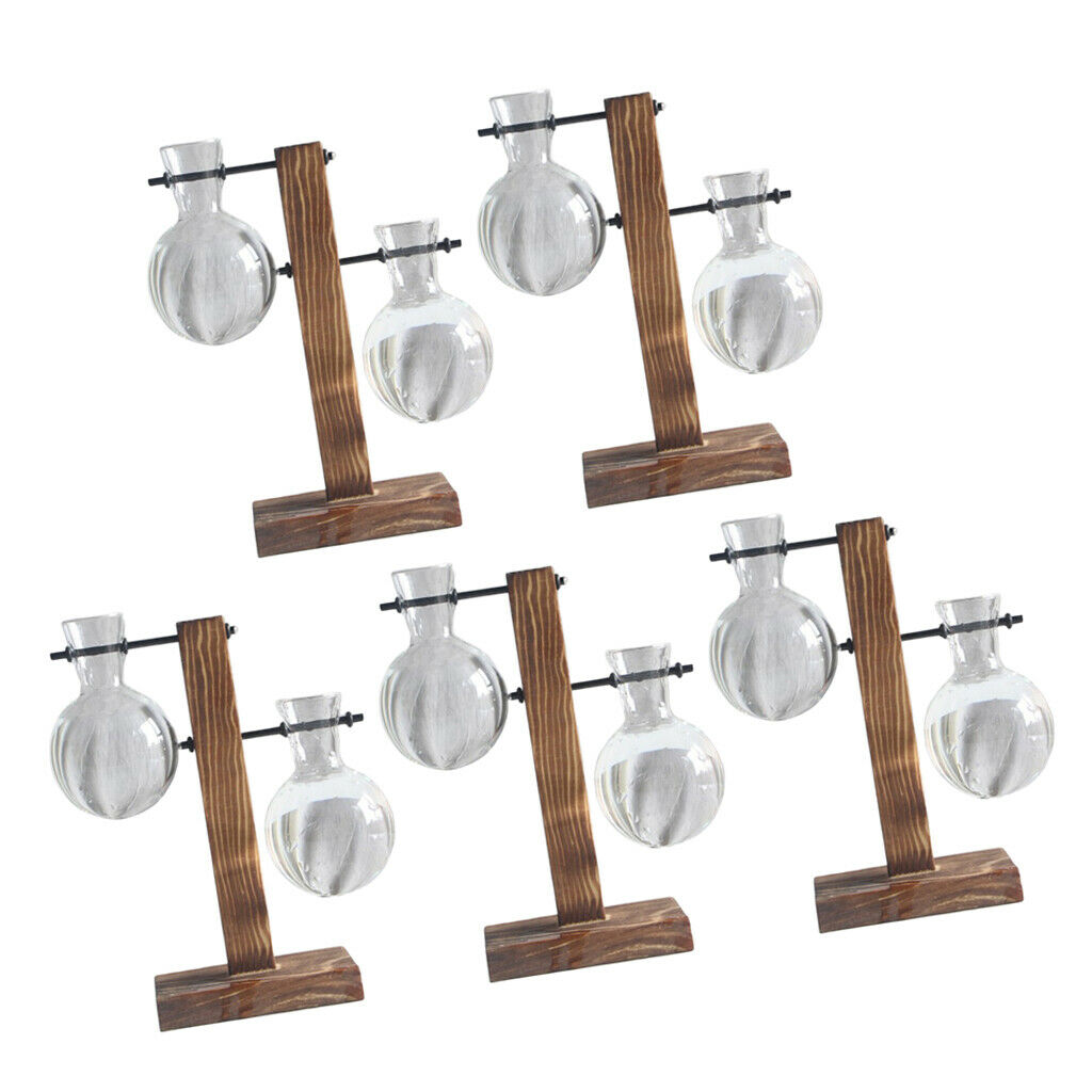 5pcs Glass Test Tube Vase with Wooden Stand Flower Vase Floral Arrangement