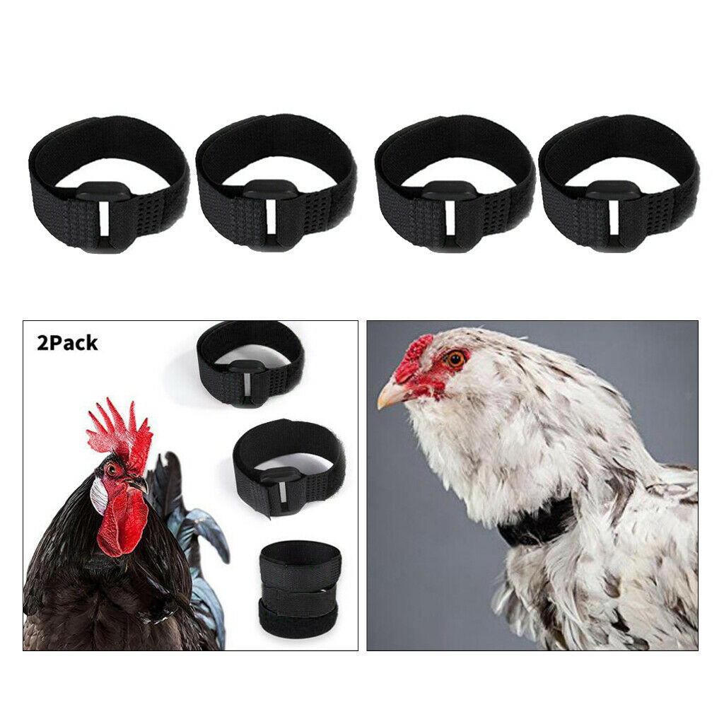 4pcs Chicken Collar Prevent Rooster from Screaming for Duck Goose Black