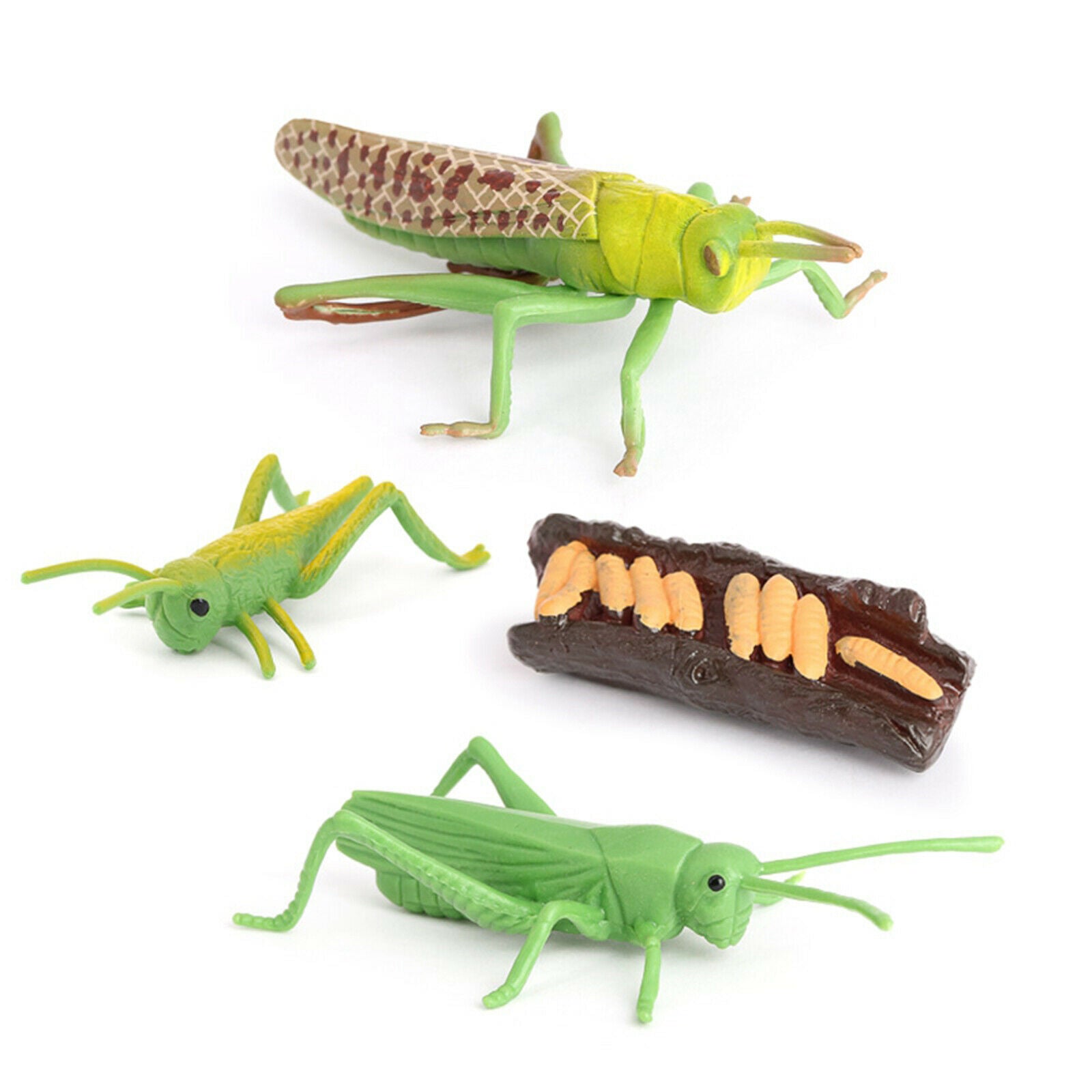 Plastic Nature Grasshopper Growth Figures Kids Child Learning Cognitive Toys