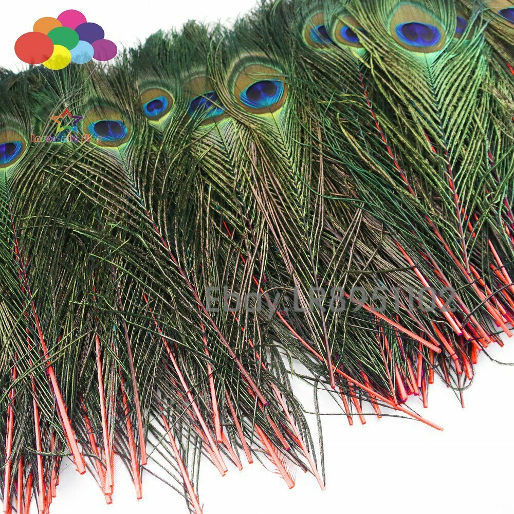 100 Pcs/Lot Red Real Peacock Feathers For Crafts 25-30cm dress is with Home Diy