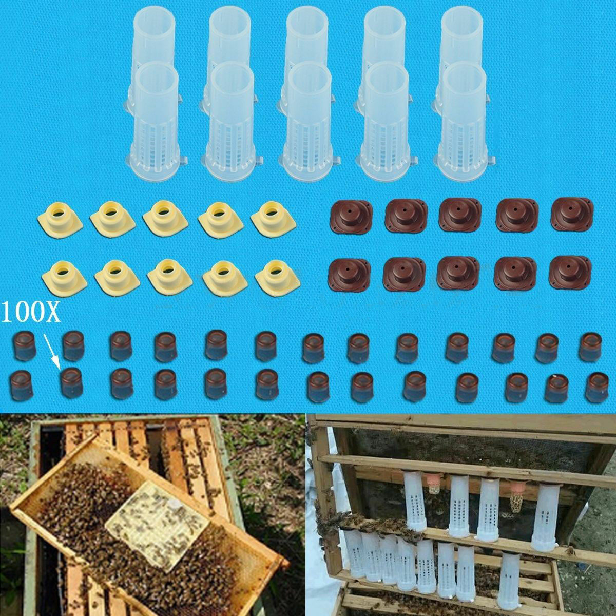 Plastic Beekeeping Cup Kit Holder  Rearing Cages Supplies Set